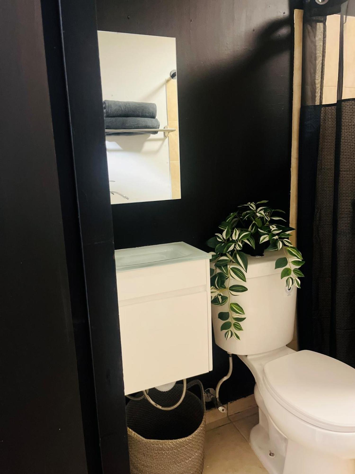 Central San Juan Studio Экстерьер фото